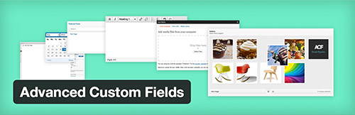 Advanced Custom Fields