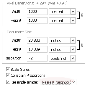 Zoomed Pixel Blocks